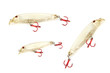 The luer is minnow.