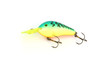 The Green Fishing Lure.