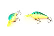 The fishing lure.