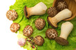 Mushrooms and a wooden bowl of