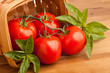 Tomatoes, Basil and a Basket