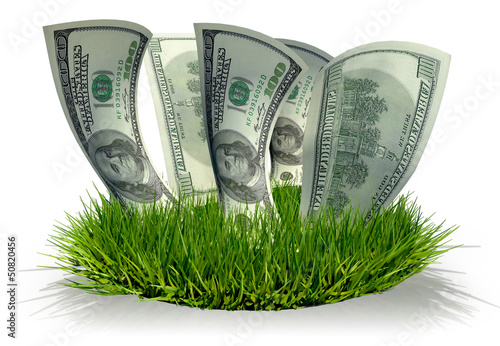 Illustration: 3D Dollars growing 3D Dollars growing