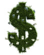 3D grass dollar shape
