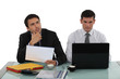 Businessmen worker on a project