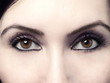 brown eyes macro