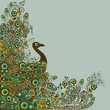 Peacock card