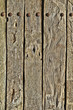 Planks