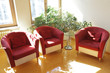 Sitzecke mit Pflanze - Drei bequeme Sessel