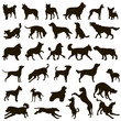 Dog collection. Vector silhouette