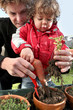 Father and son planting seedlings