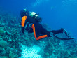 scubadiver