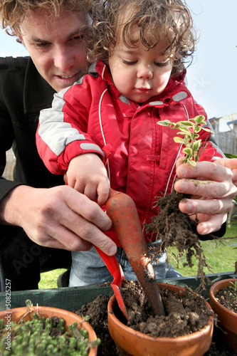 Photo: Father and son planting seedlings Father and son planting seedlings