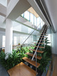 A 3d rendering of modern wooden stair in an apartment