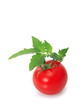 tomate