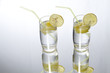 Mineralwasser mit Zitronen und Spiegelbild