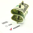 Voting against a monetary budget issue