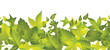Green Leaf Border