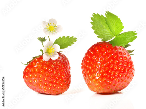 Photo: Erdbeeren Erdbeeren