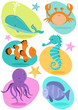 Sea Creatures