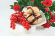 cookies with chocolate and red currant