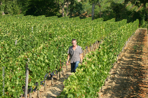 Photo: Man walking through vineyard Man walking through vineyard