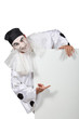 Harlequin pointing white panel