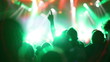 Concert crowd