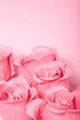 pink roses