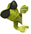 Fun lizard