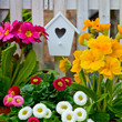 Frühling im Garten