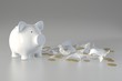 Piggy bank - pig and broken pig