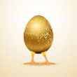 Vector: Golden egg Golden egg