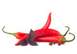 Hot red chili or chilli pepper and basil leaves still life