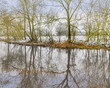 Photo: river river