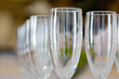  wineglasses in rows
