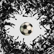football fans crowd