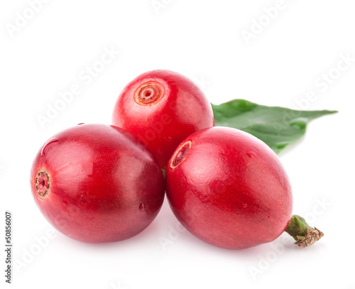Photo: Red coffee beans isolated on white background Red coffee beans isolated on white background