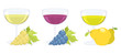 glasses with grape and fruit wines. vector set