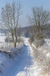 Feldweg im Winter