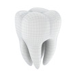 3d tooth on white background