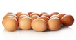 Many eggs isolated on white