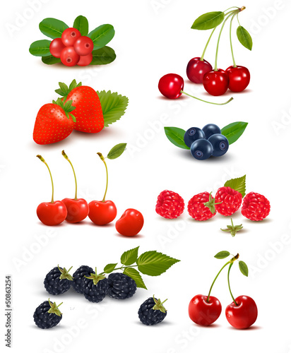 Vector: Big group of fresh berries and cherries. Vector illustration. Big group of fresh berries and cherries. Vector illustration.