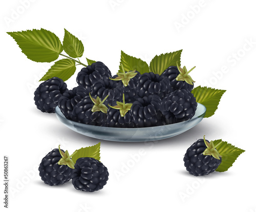 Vector: Fresh blackberries with leaves in glass bowl Vector illustration Fresh blackberries with leaves in glass bowl Vector illustration
