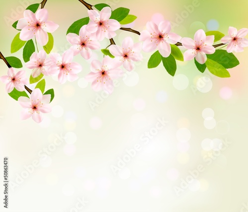 Vector: Spring background with blossoming tree brunch with spring flower Spring background with blossoming tree brunch with spring flower