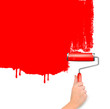 Red roller painting the white wall. Background vector.