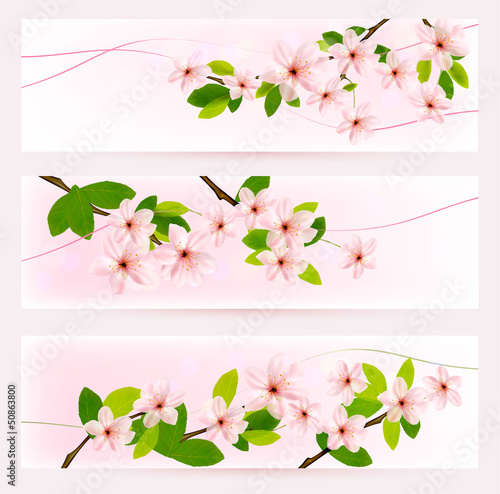Vector: Three spring banners with blossoming tree brunch with spring flo Three spring banners with blossoming tree brunch with spring flo