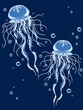Jellyfish