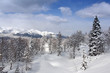 canvas print picture - Winter landscape