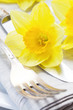 Spring Place Setting