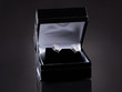 Close-up Of Earrings In Case